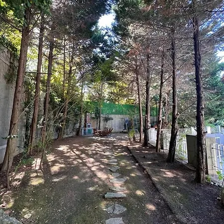 Secure, Spacious, And Eclectic 1 To 3 Bedroom W Pool, Garden, Private Parking, Tennis Basketball Football Courts And Concierge Close To Istinye Park, Turkish Tennis Federation, And Acibadem Maslak Διαμέρισμα *